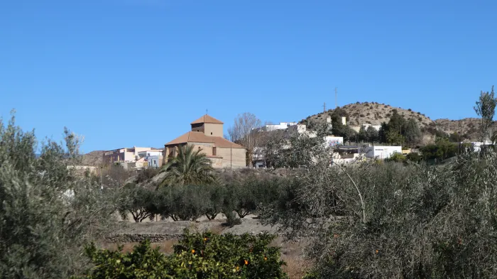 Alsodux