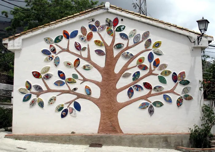 Bayacas