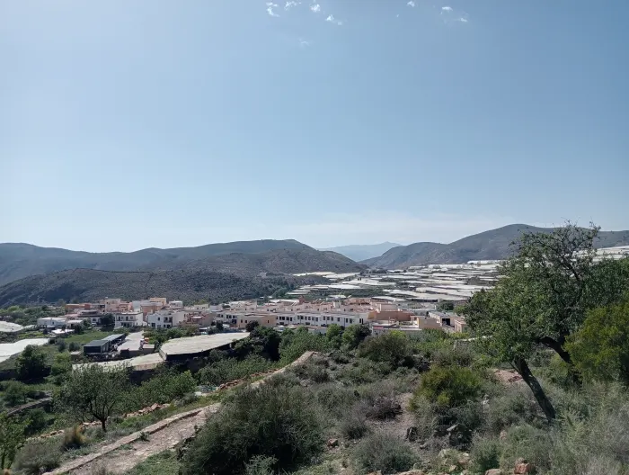 Celín