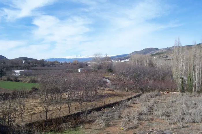 Fondón