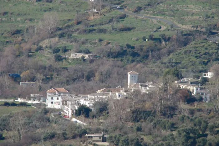 Mecina