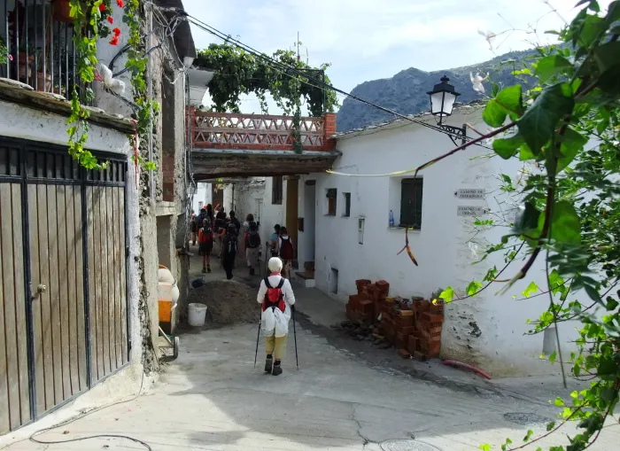 Mecinilla