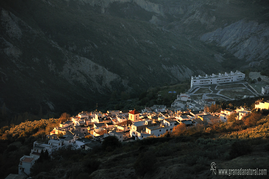 Carataunas