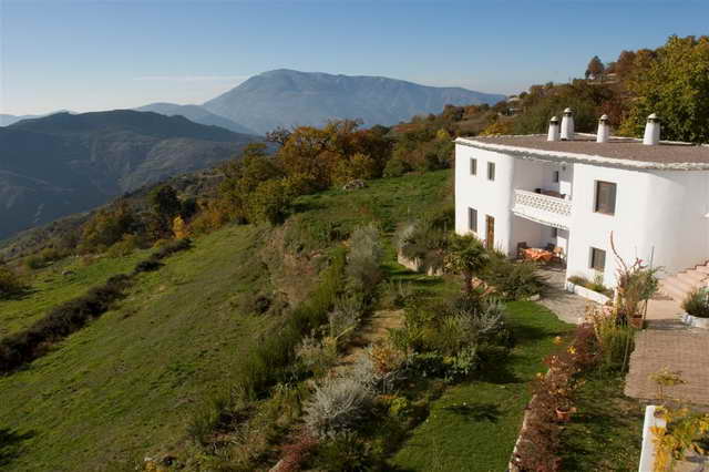 La Oveja Verde